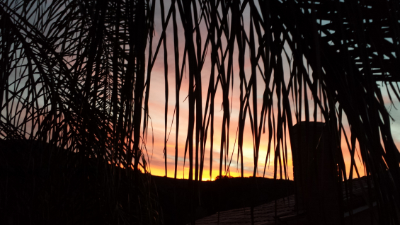 20150122_064404.jpg